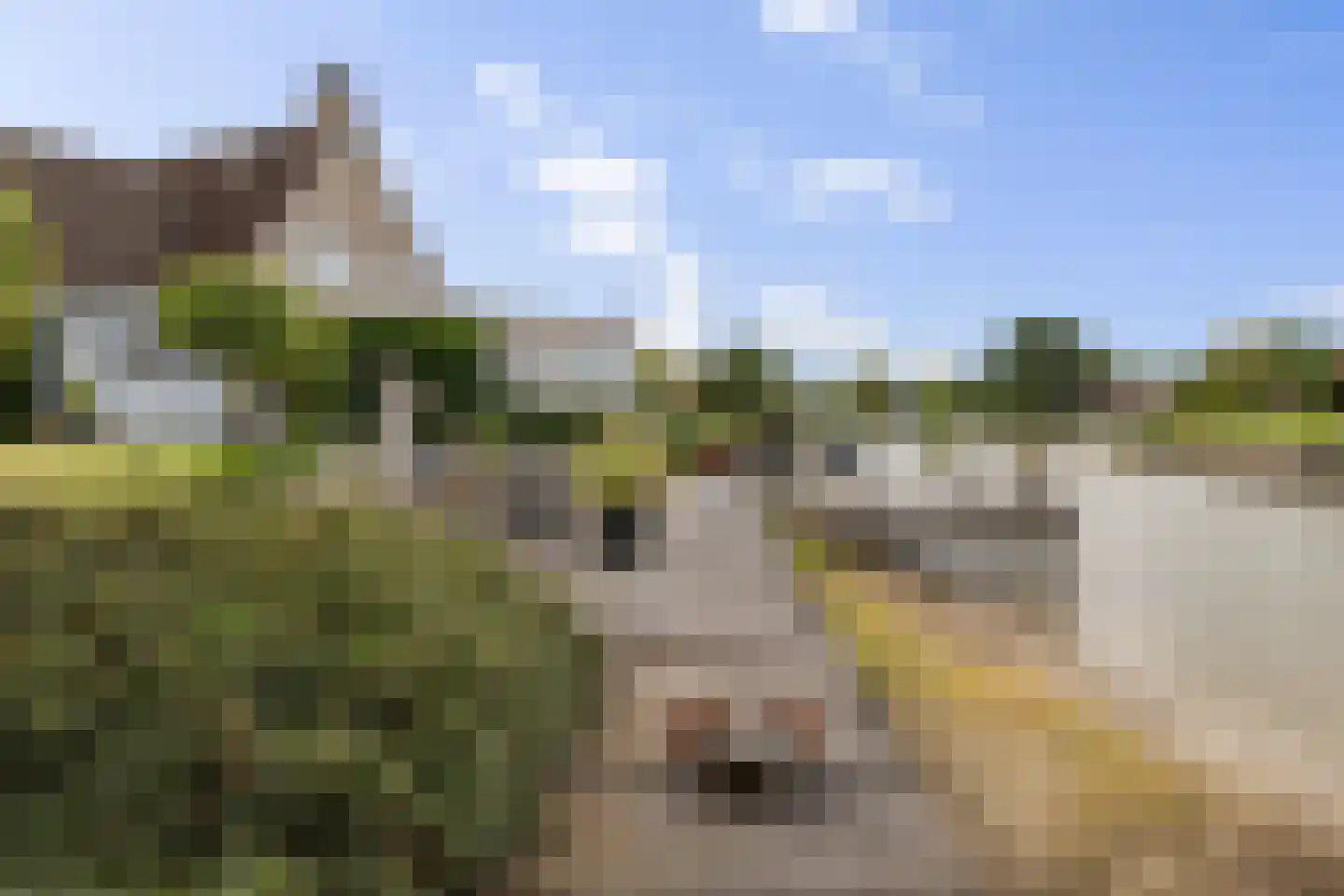 Diamantdreef 18 Emmen thumbnail 45