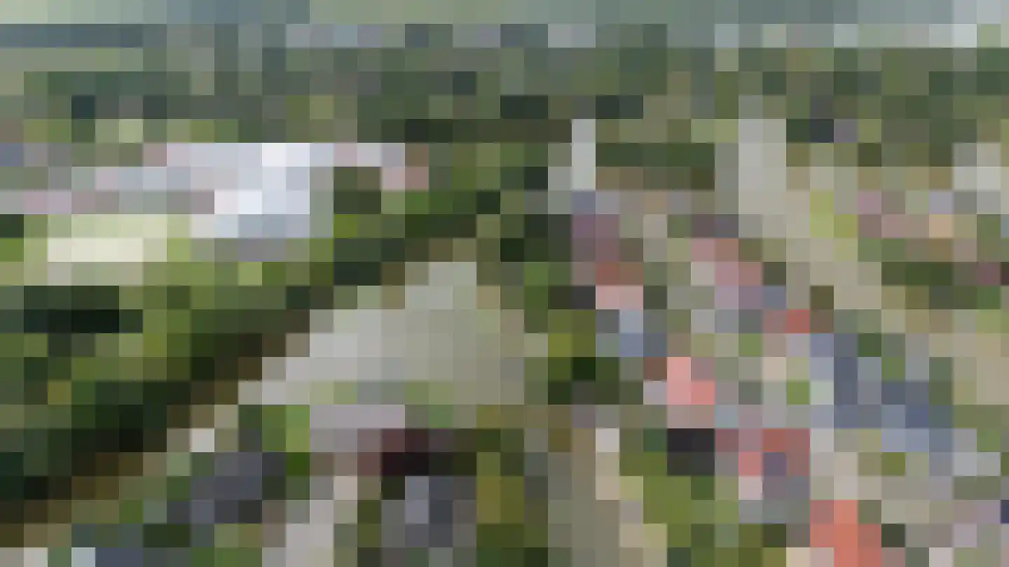Diamantdreef 18 Emmen thumbnail 67