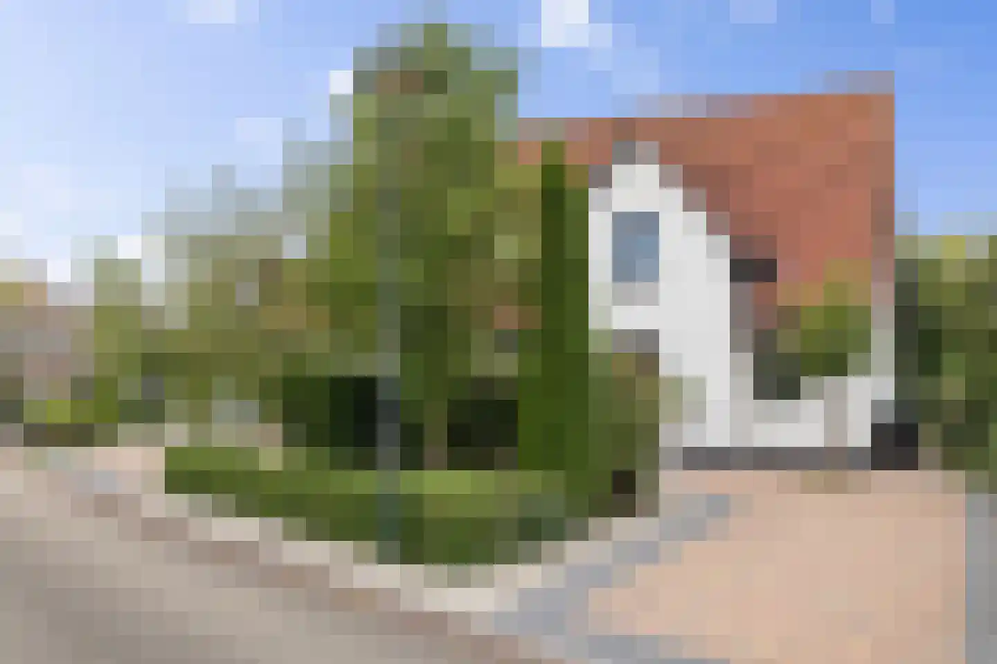 Diamantdreef 18 Emmen thumbnail 8