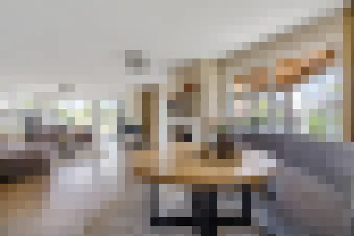 Diamantdreef 20 Emmen thumbnail 17