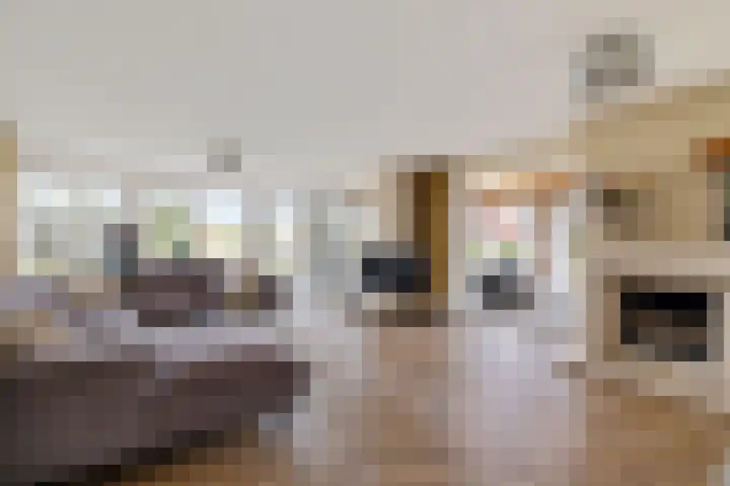 Diamantdreef 20 Emmen thumbnail 18