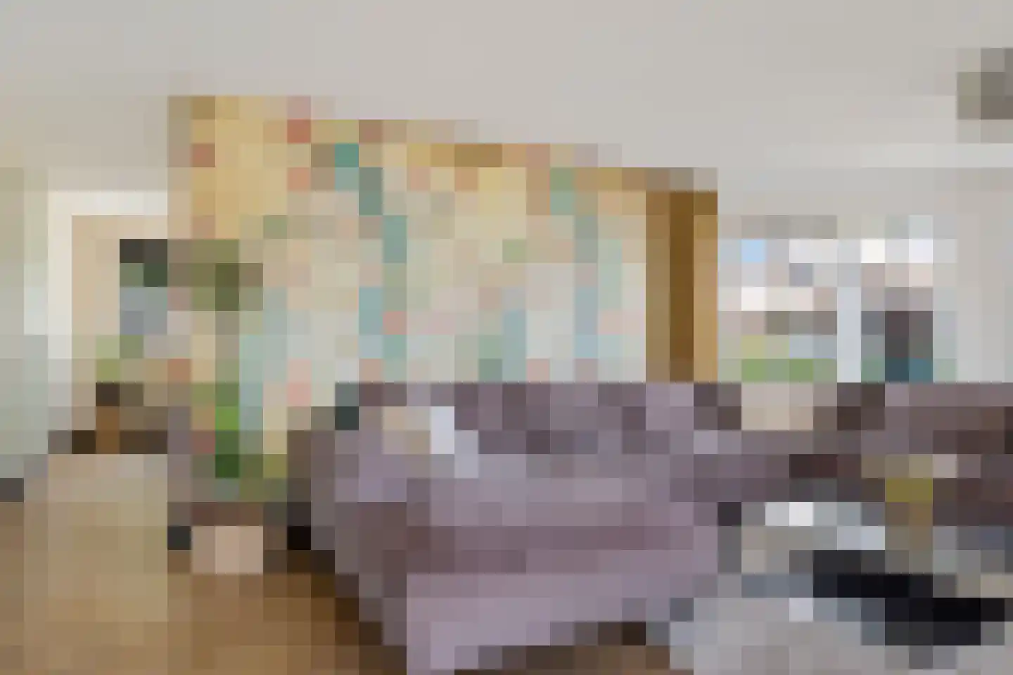 Diamantdreef 20 Emmen thumbnail 20