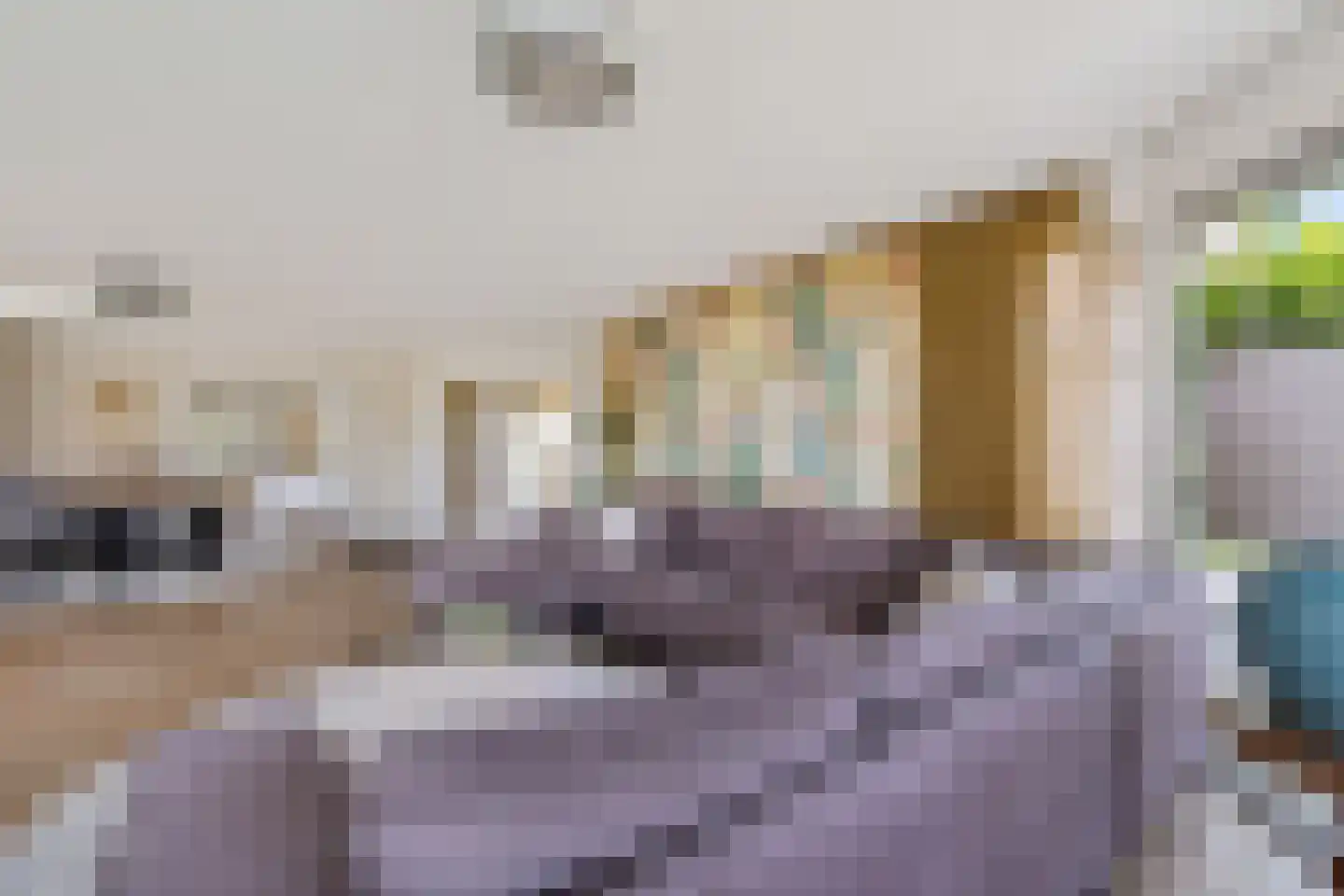 Diamantdreef 20 Emmen thumbnail 22