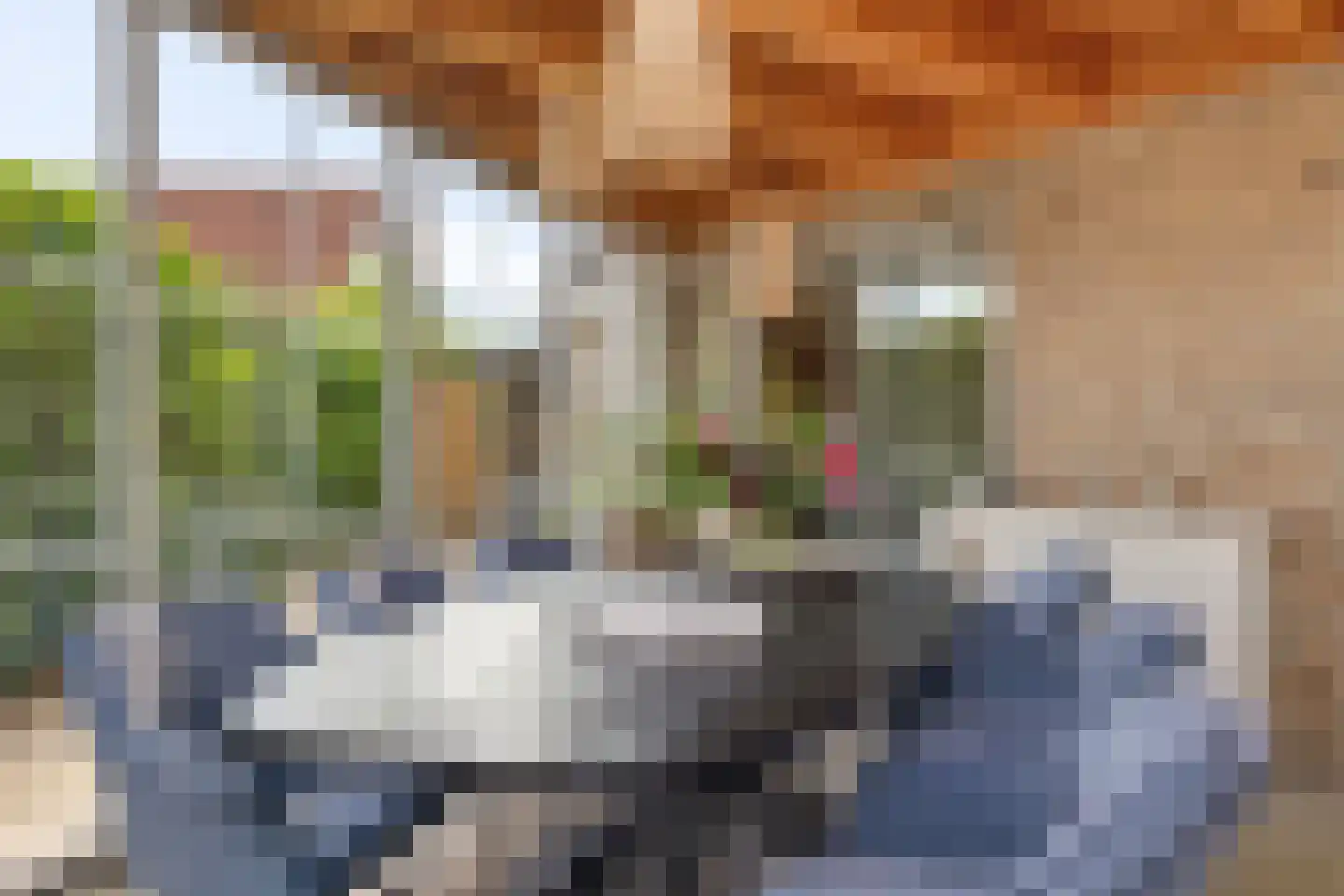 Diamantdreef 20 Emmen thumbnail 26