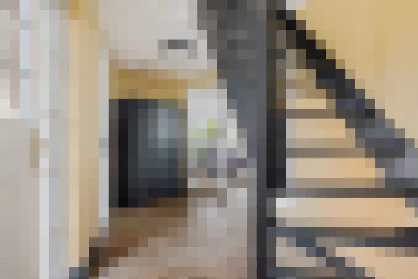 Diamantdreef 20 Emmen thumbnail 36