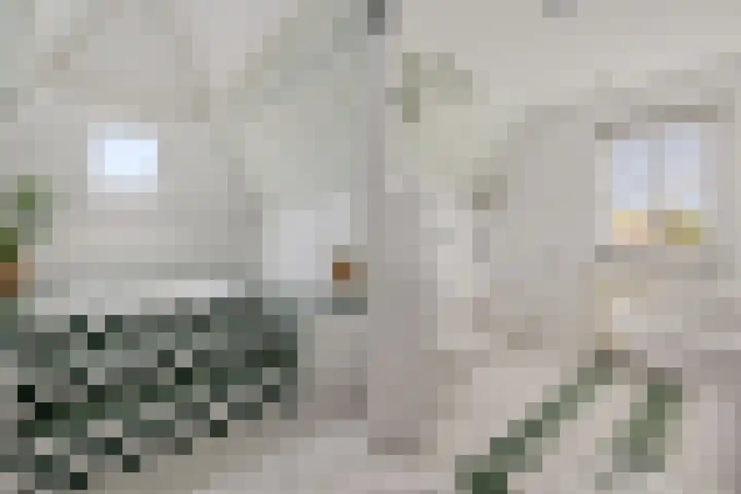 Diamantdreef 20 Emmen thumbnail 39