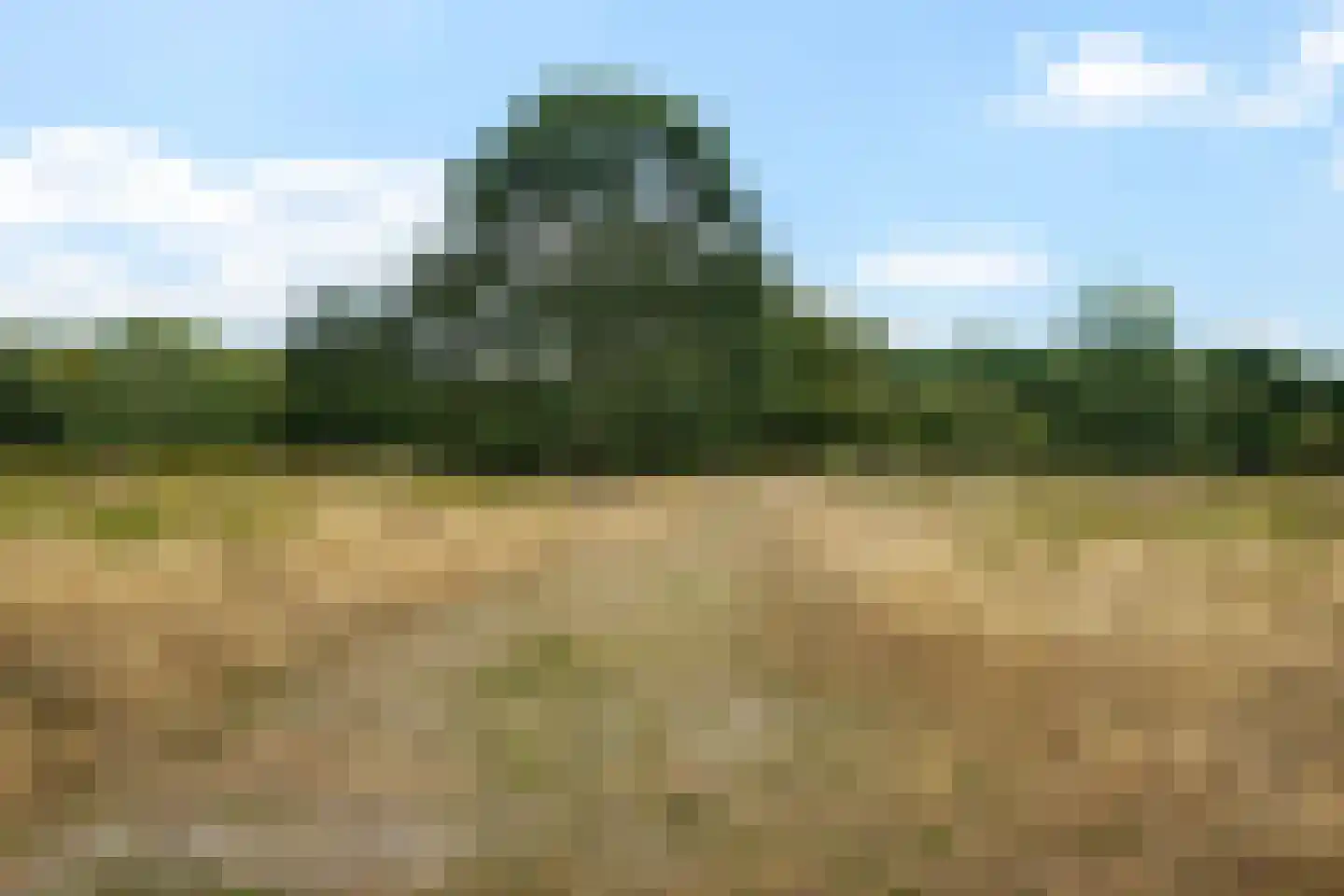 Diamantdreef 20 Emmen thumbnail 82