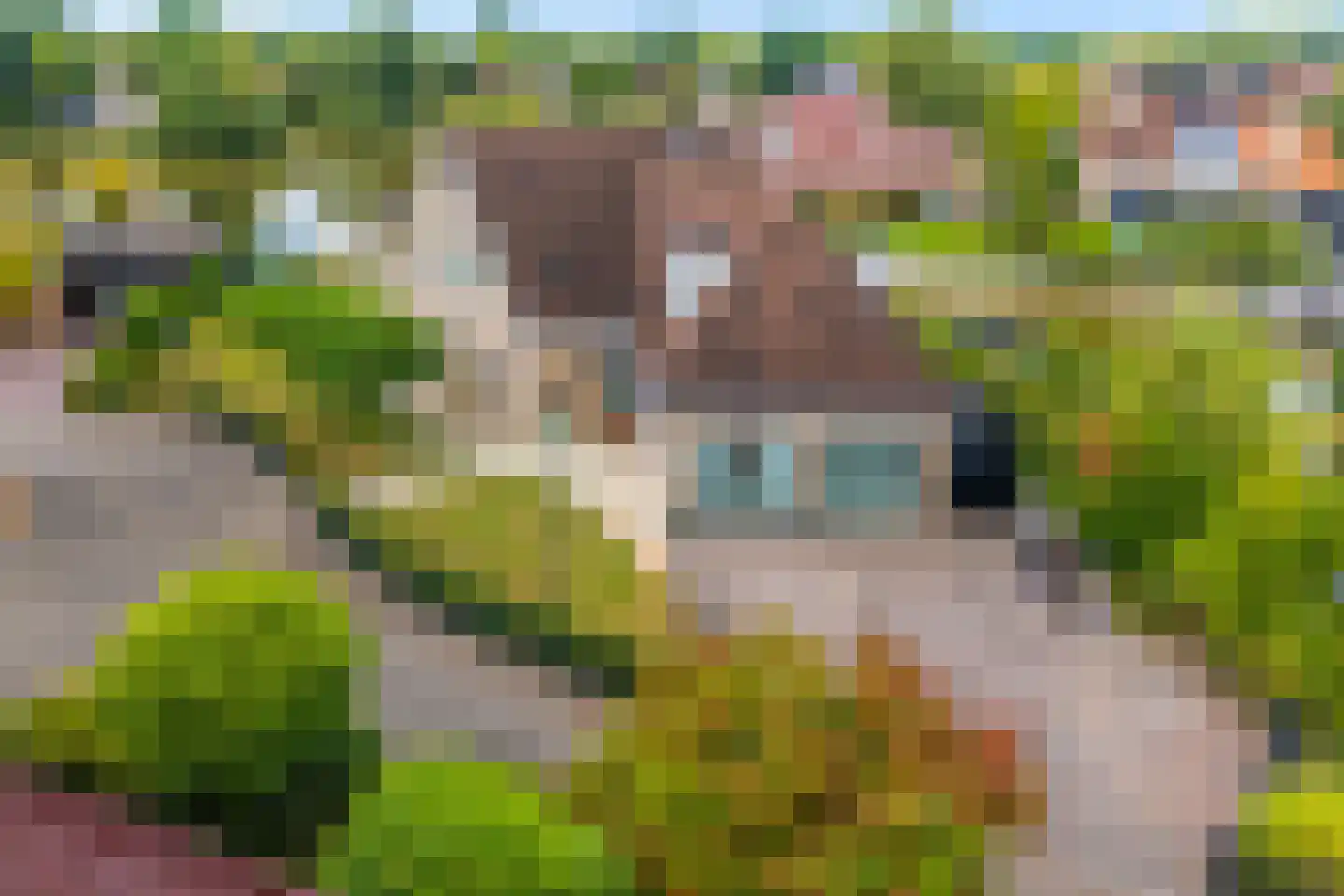 Diamantdreef 20 Emmen thumbnail 94