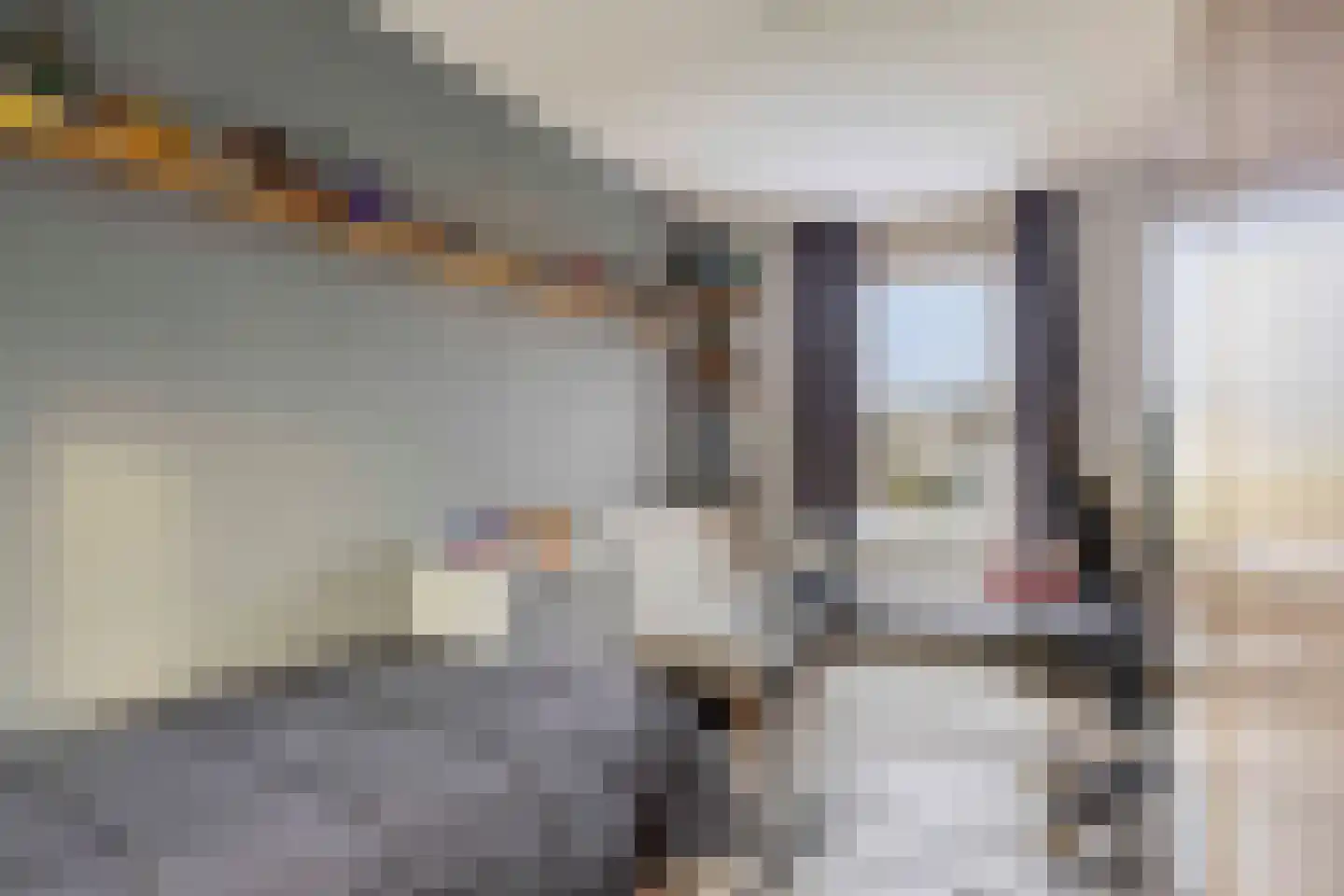 Diamanthof 20 Venlo thumbnail 17