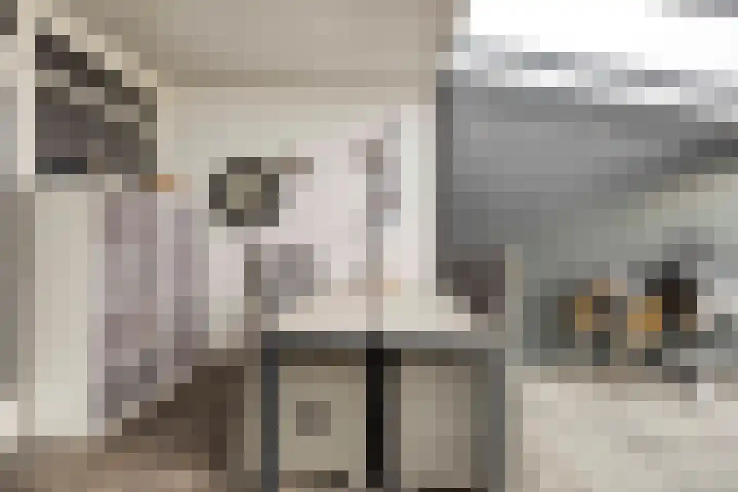 Diamanthof 20 Venlo thumbnail 24