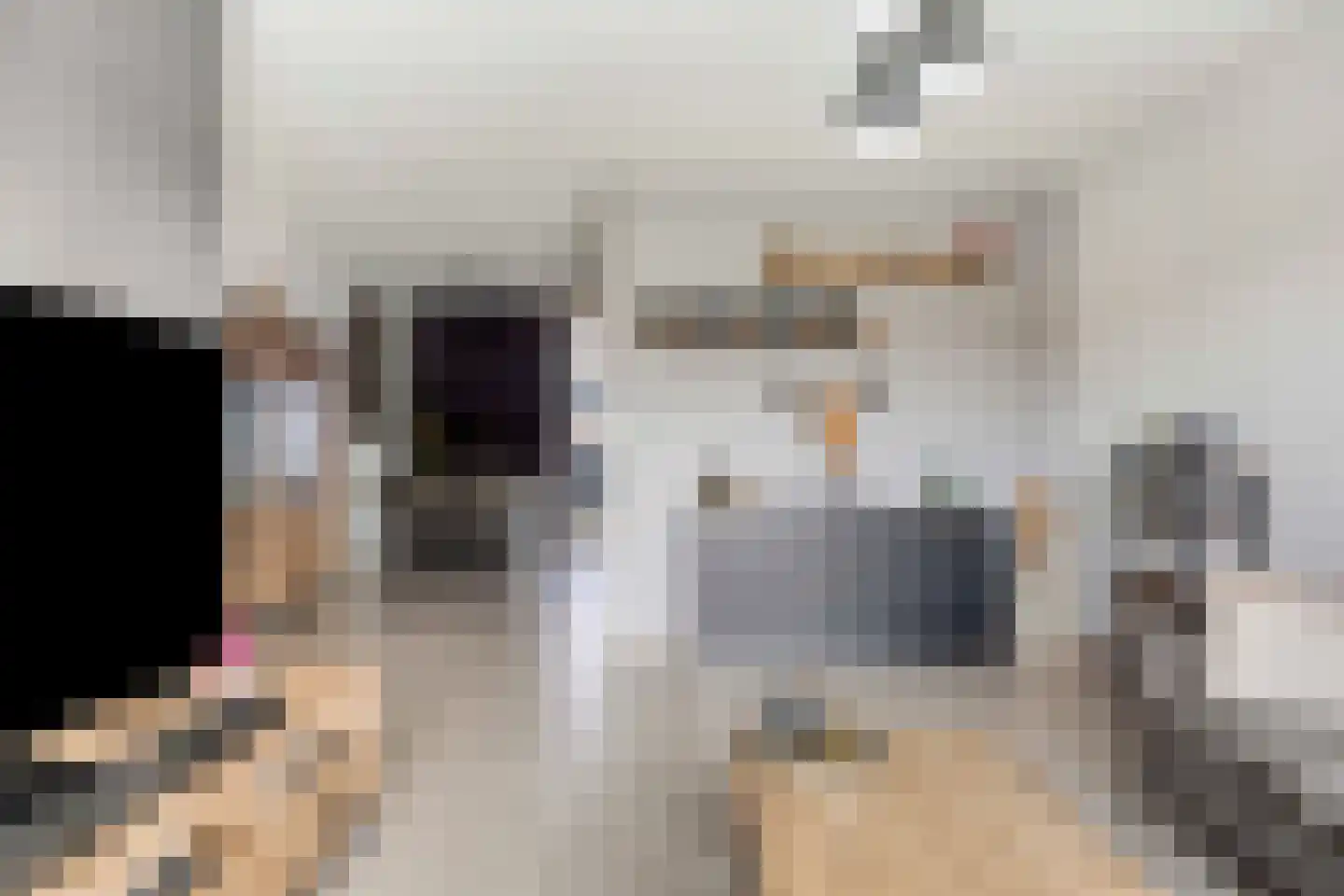 Diamanthof 20 Venlo thumbnail 4