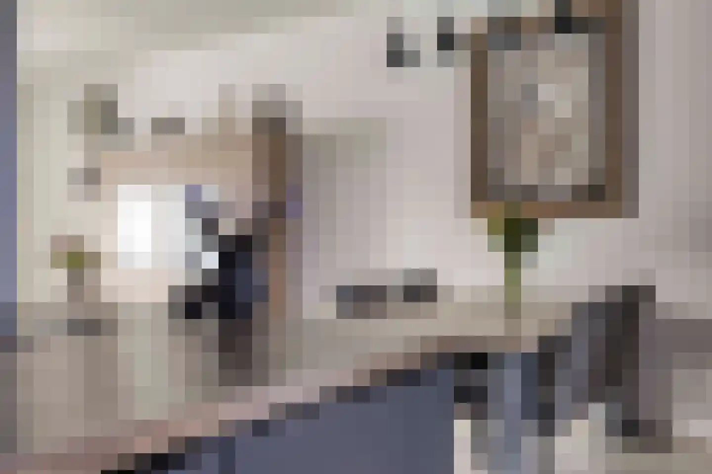Diamanthof 20 Venlo thumbnail 8