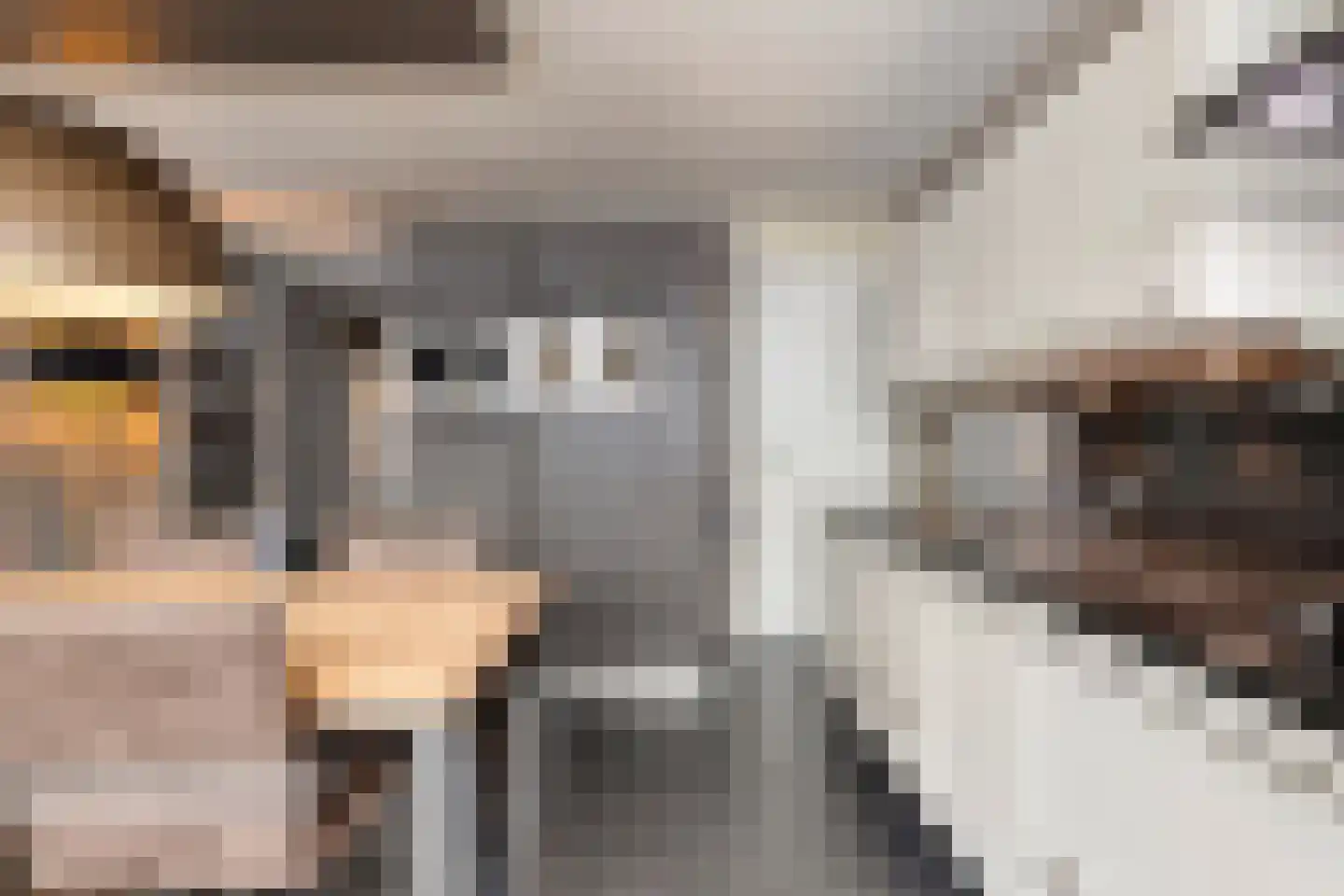 Diamanthof 26 Venlo thumbnail 10
