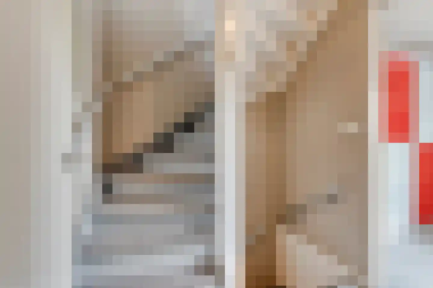 Diamanthof 26 Venlo thumbnail 12