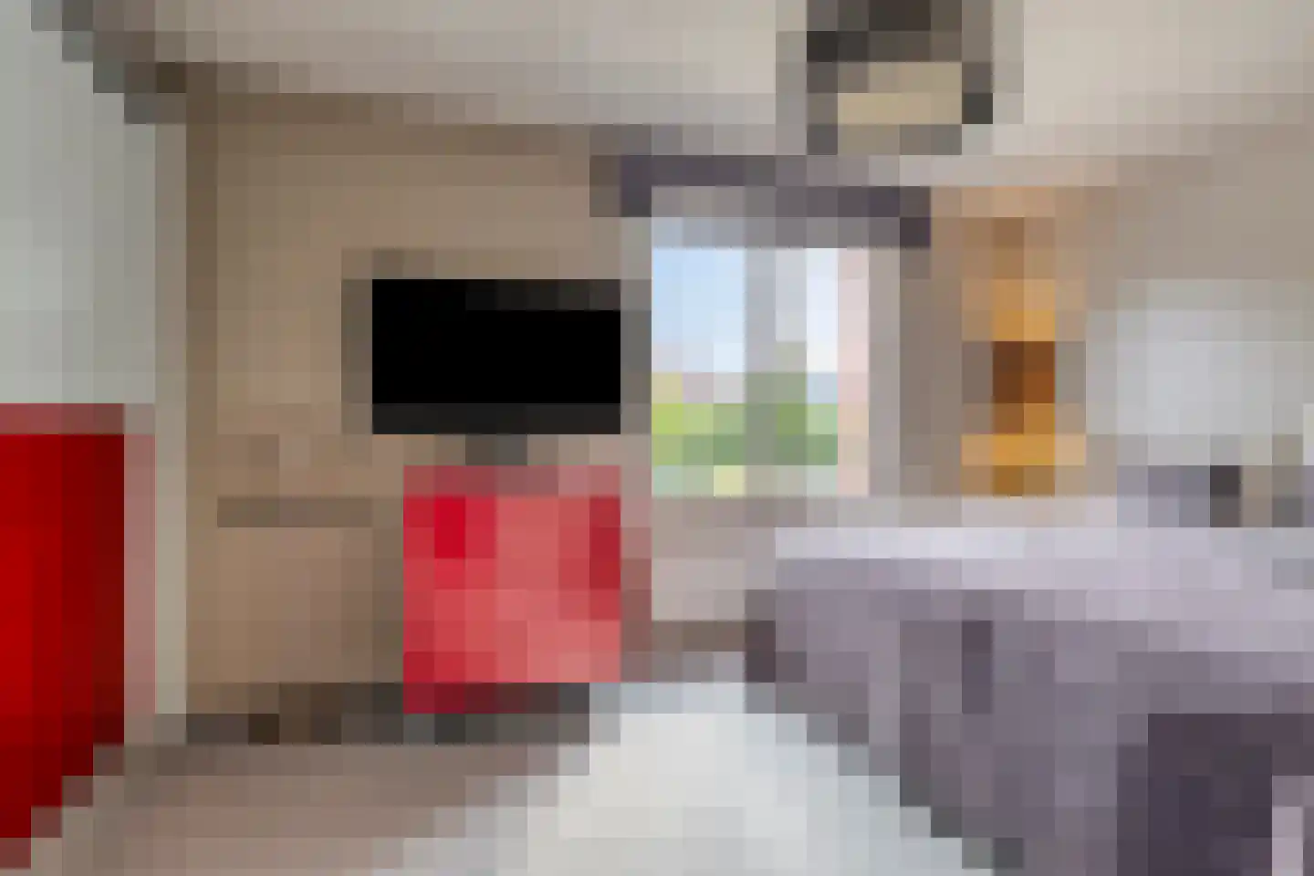 Diamanthof 26 Venlo thumbnail 14