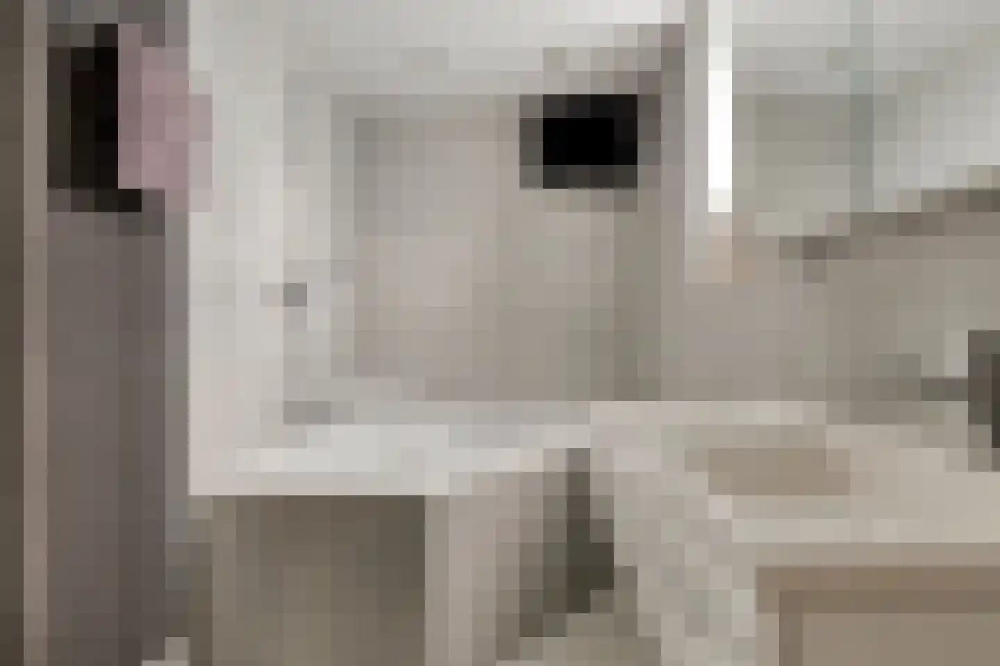 Diamanthof 26 Venlo thumbnail 15