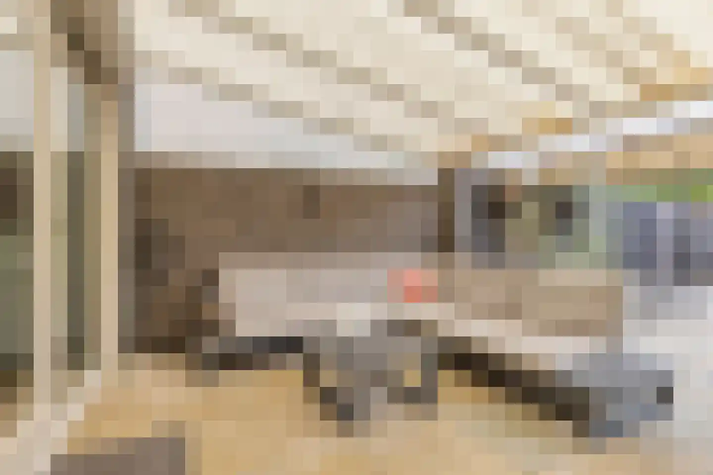 Diamanthof 26 Venlo thumbnail 20