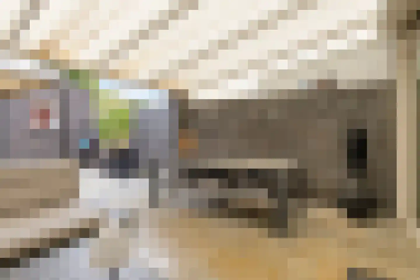 Diamanthof 26 Venlo thumbnail 22