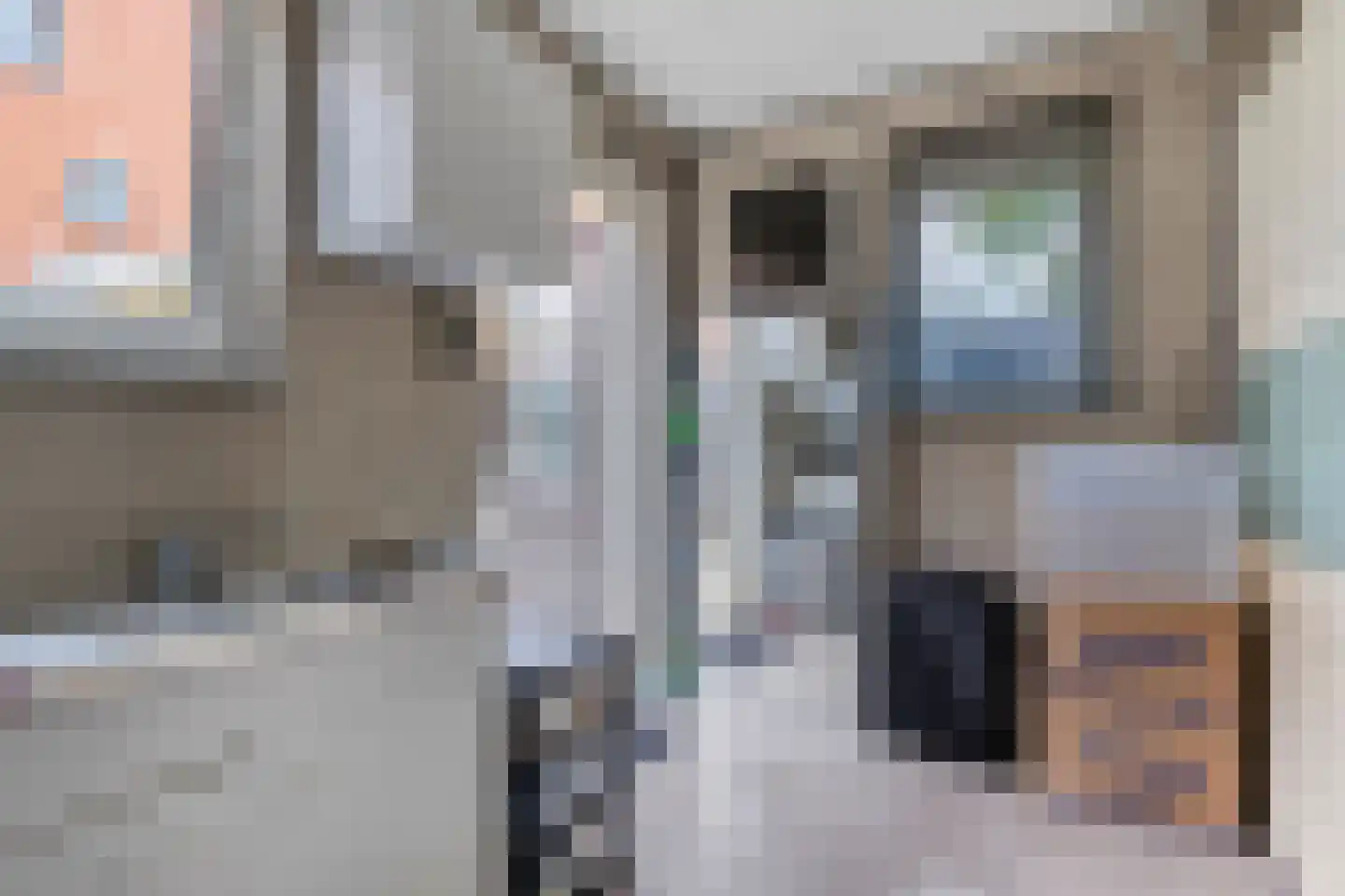 Diamanthof 26 Venlo thumbnail 26