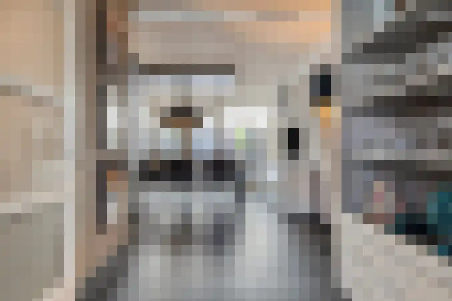 Diamanthof 26 Venlo thumbnail 7
