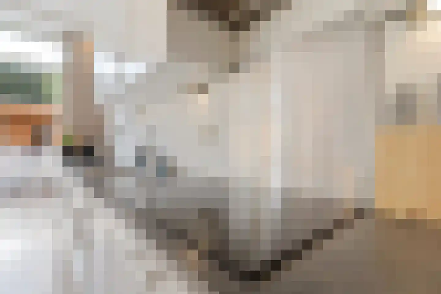 Diamanthof 34 Venlo thumbnail 16