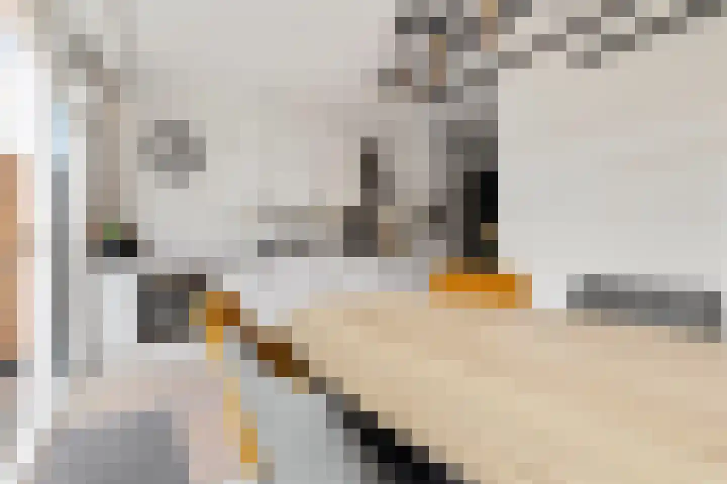 Diamanthof 34 Venlo thumbnail 22