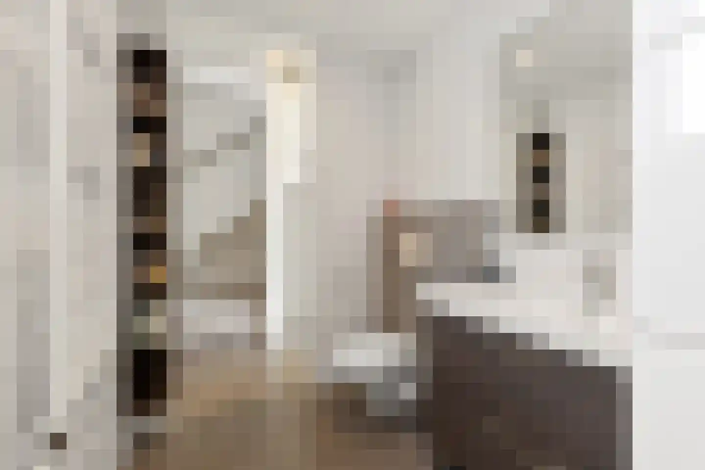 Diamanthof 34 Venlo thumbnail 29