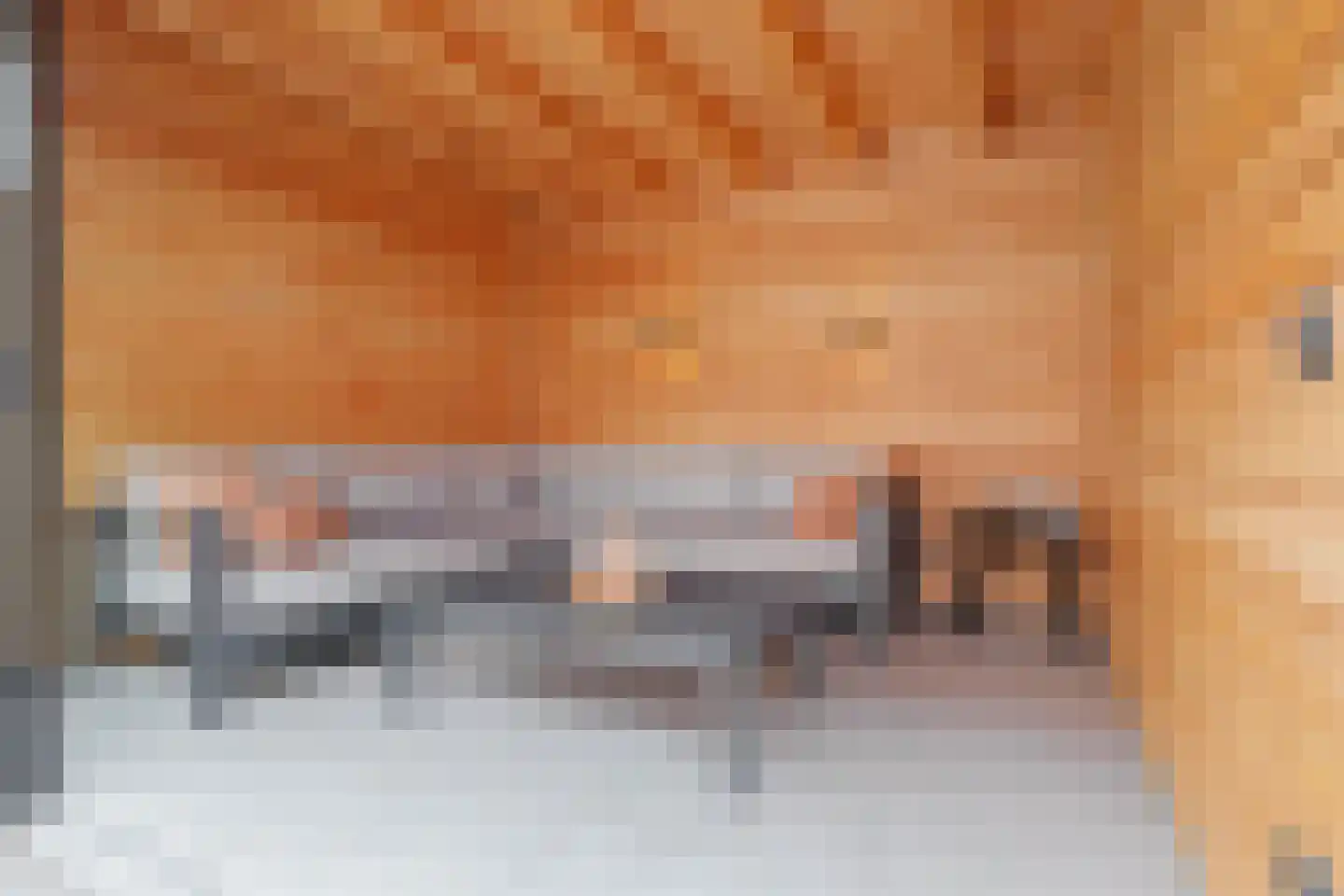 Diamanthof 34 Venlo thumbnail 40
