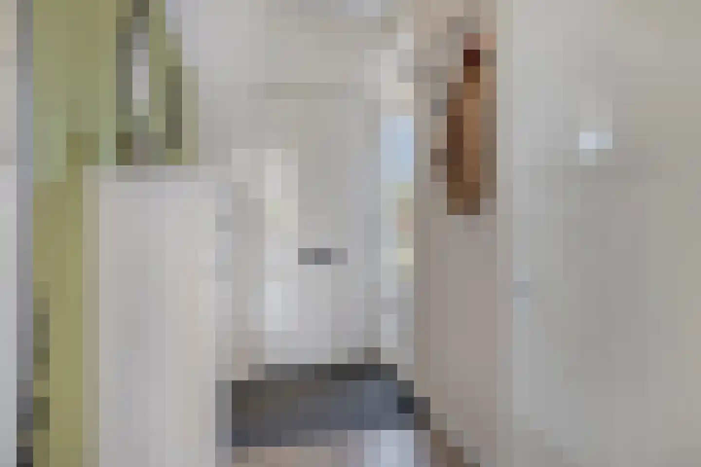 Diamanthof 9 Venlo thumbnail 10