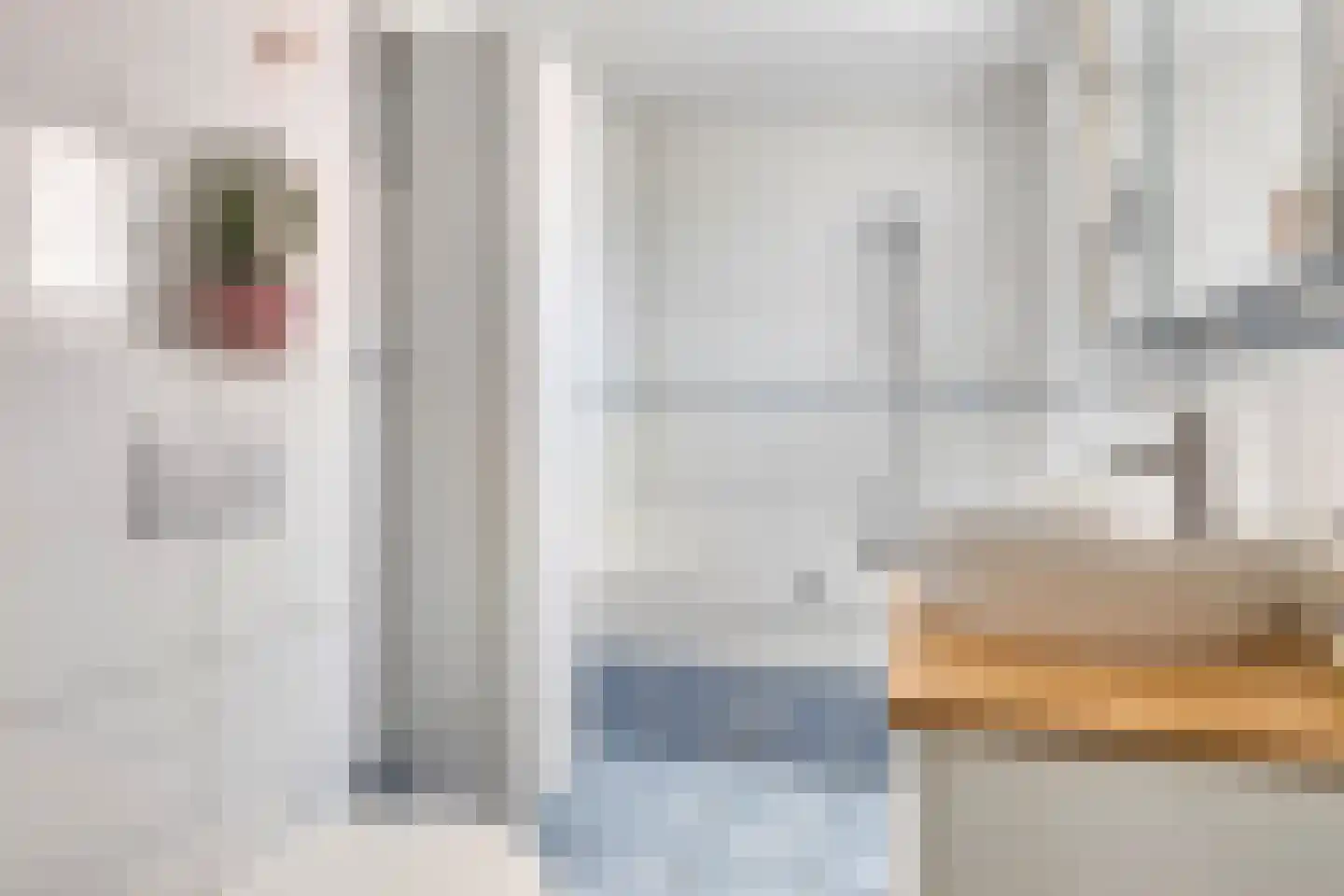 Diamanthof 9 Venlo thumbnail 16
