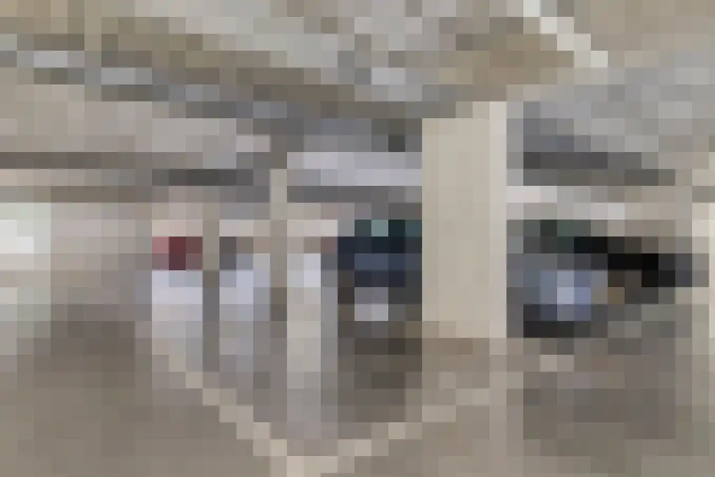 Diamantlaan 14 A Leiden thumbnail 24