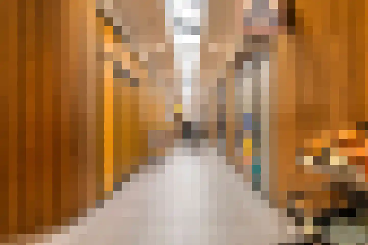 Diamantlaan 14 A Leiden thumbnail 29