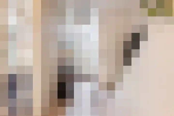 Diamantlaan 165 Groningen thumbnail 17