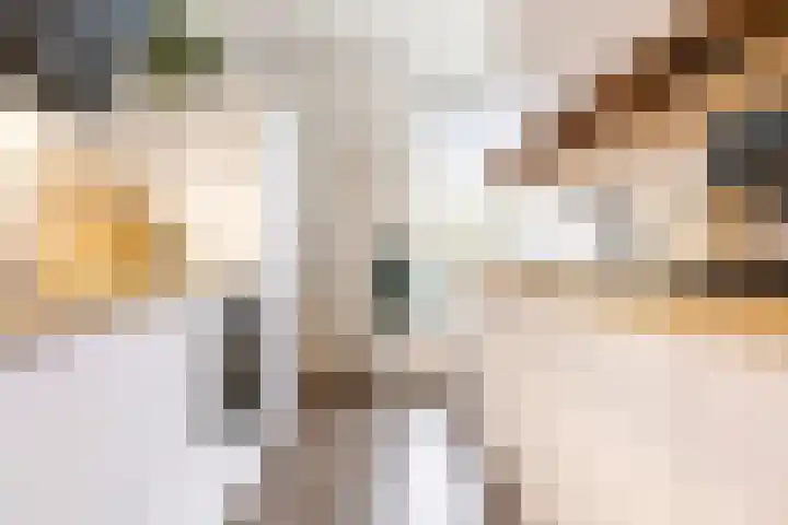 Diamantlaan 165 Groningen foto 2