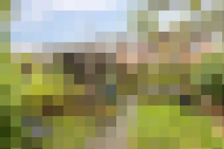 Diamantlaan 165 Groningen thumbnail 31