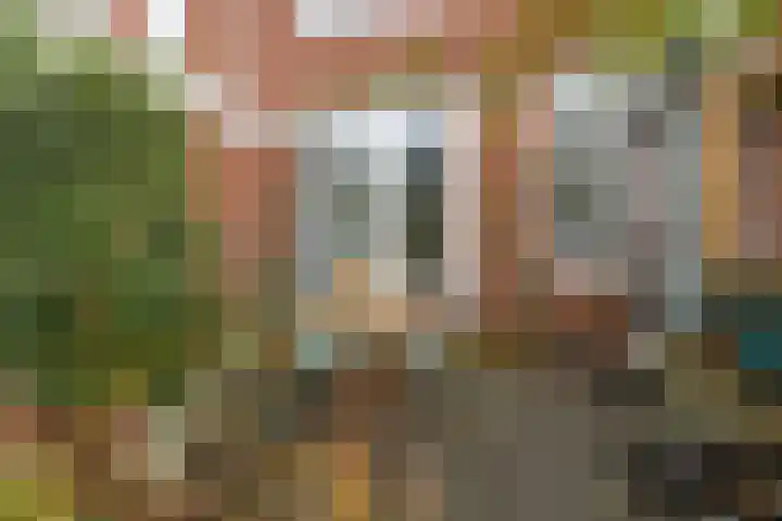 Diamantlaan 165 Groningen thumbnail 33