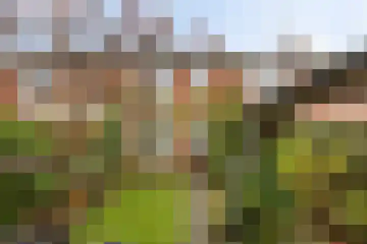 Diamantlaan 165 Groningen thumbnail 34