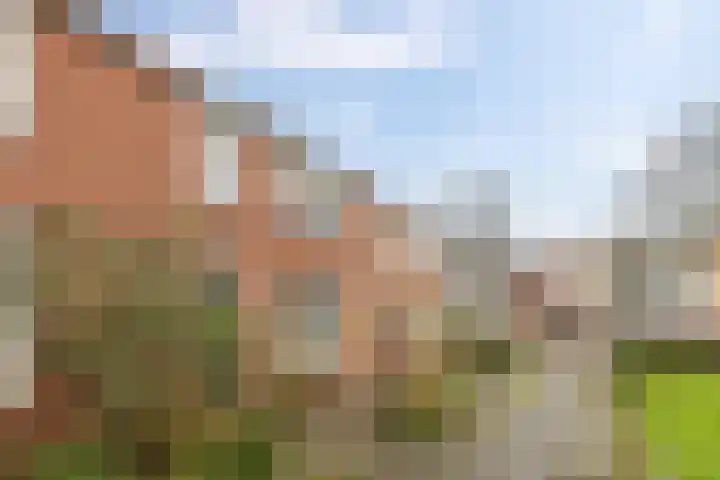 Diamantlaan 165 Groningen thumbnail 37