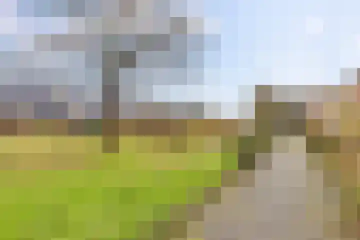Diamantlaan 165 Groningen thumbnail 38
