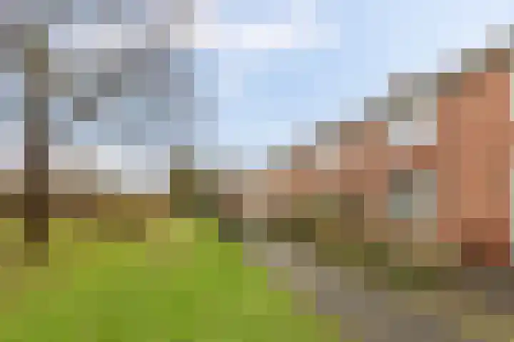 Diamantlaan 165 Groningen thumbnail 4