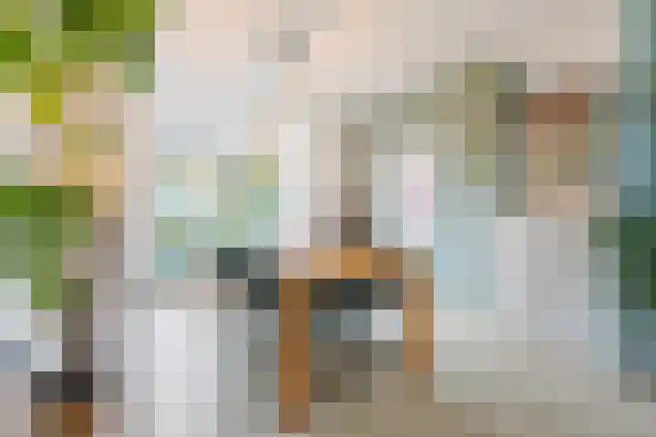 Diamantlaan 165 Groningen thumbnail 8