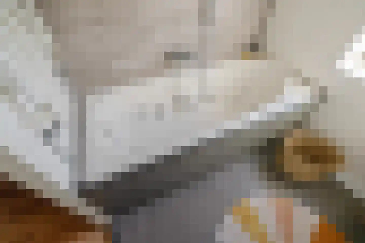 Diamantlaan 179 Groningen thumbnail 23