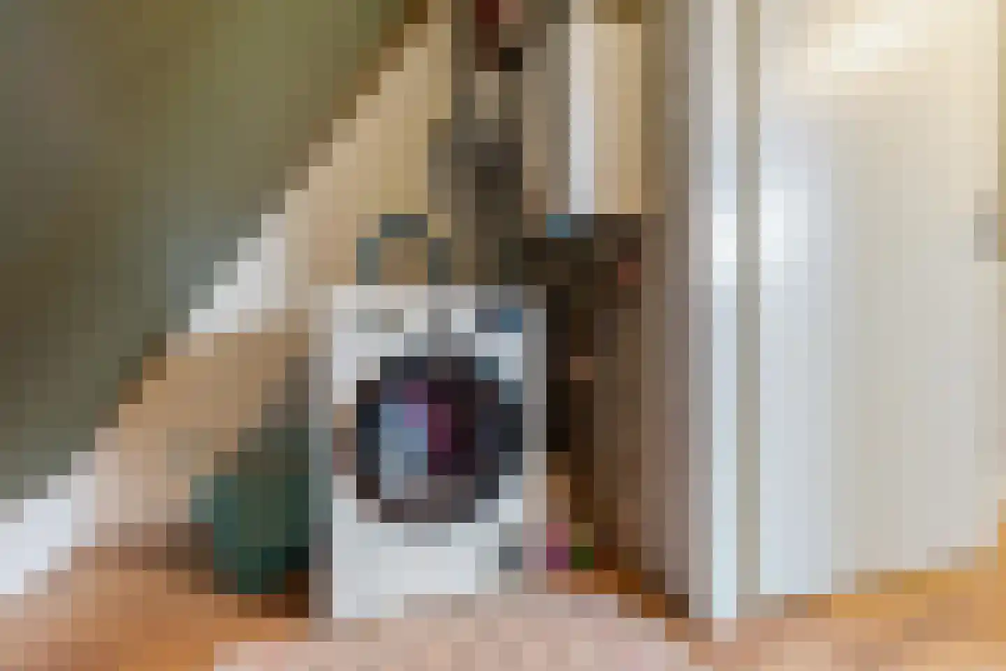 Diamantlaan 179 Groningen thumbnail 27