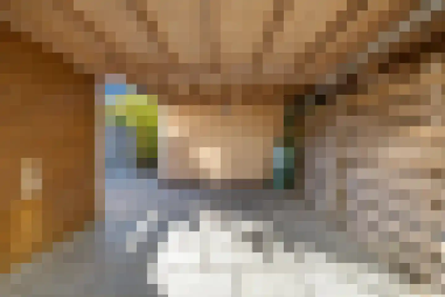 Diamantlaan 179 Groningen thumbnail 30