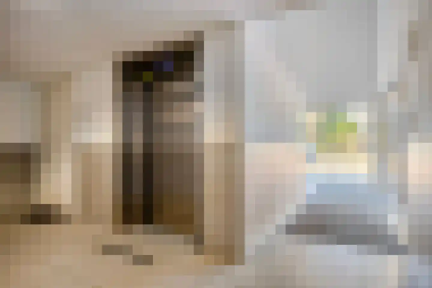 Diamantlaan 244 Leiden thumbnail 16
