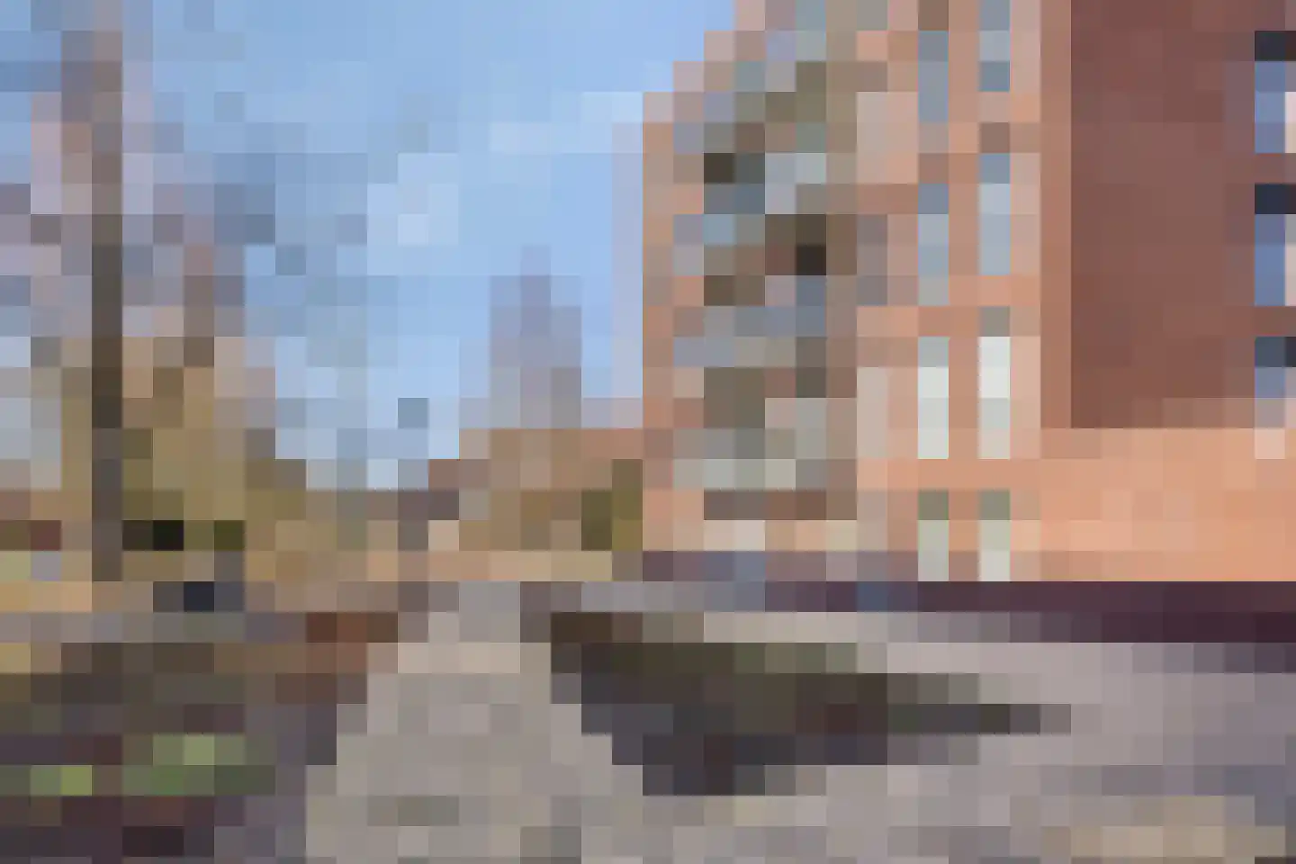 Diamantlaan 244 Leiden thumbnail 5