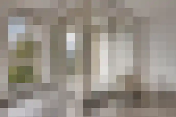 Diamantlaan 316 Leiden thumbnail 12