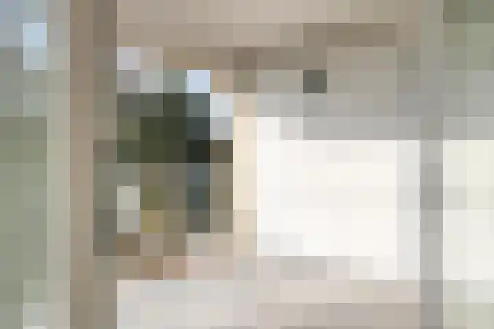 Diamantlaan 316 Leiden thumbnail 17