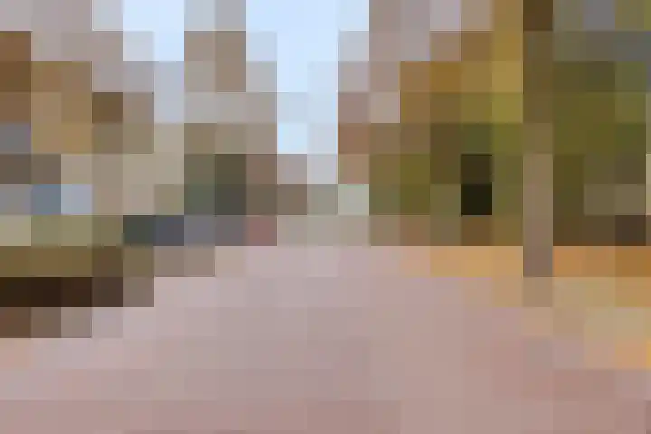 Diamantlaan 316 Leiden thumbnail 24