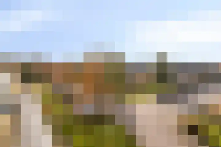 Diamantlaan 316 Leiden thumbnail 5